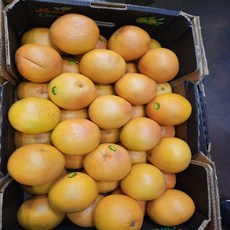 가락시장 만복농산 자몽 31~40개 15kg 한상자, 40개