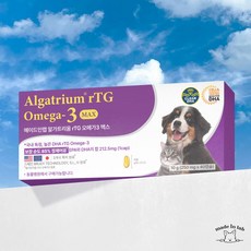 미국 유럽 일본 특허 강아지 고양이 rTG 오메가3 메이드인랩 알가트리움 맥스, 1개, 40정 1팩, 40정