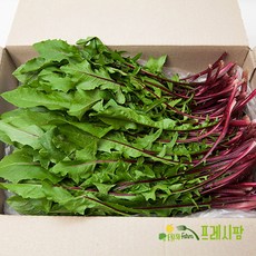 적치커리