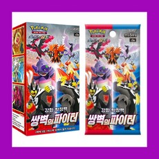 쌍벽의파이터