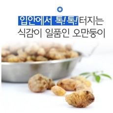 //상품명