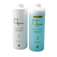 A_스피드앤볼륨업 펌 단백질 대용량 파마약 1000ml, 기본