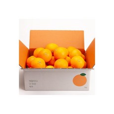 청귤10키로