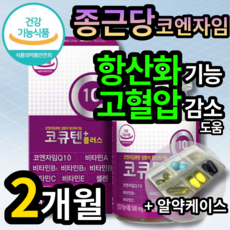 큐비코