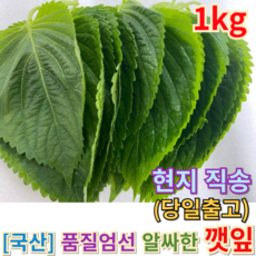 [산지직송] <<국산 알싸한 "깻잎" 생채 1키로>> 국내산 야채 쌈채소 반찬용재료 순한깻잎 가정용 식당용 농장직영 쌈야채 쌈 맛있는쌈야채채소 야들야들쌈채소, 1개, 1kg
