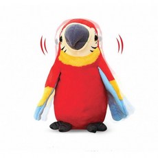 노래하는앵무새