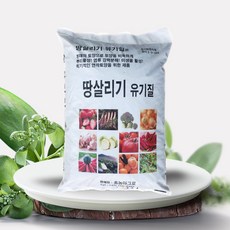 대한민국땅지금사라!