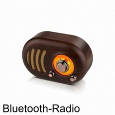 미니 캔스톤 TR-1100 블루투스 라디오 스피커 음향가전