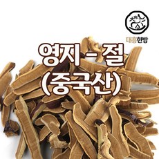 대흥한방 영지버섯(절) 중국산 3000g, 1개, 3kg
