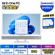 삼성 일체형PC 올인원PC DM530ADA-L15A(인텔 듀얼코어 60.5cm WIN11 Pro 16GB NVMe 512GB SSD+1TB HDD)