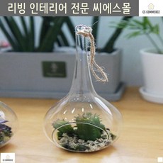 인조 벽장식 행잉화분 인테리어소품 선인장 인테리어 유리화병 벽걸이 미니선인장, 백년초