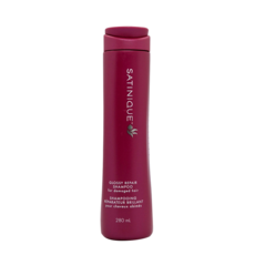 암웨이 새티니크 글로시 리페어 샴푸, 280ml, 1개