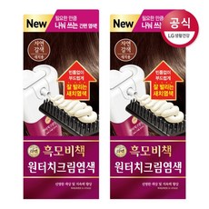 리엔 리엔 흑모비책 원터치 염색약 자연갈색 80g x2개, free, 사방넷 옵션