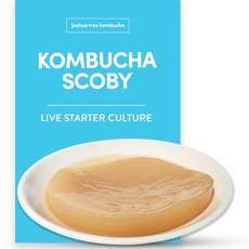 Joshua Tree Kombucha Kombucha Scoby 조슈아트리콤부차 콤부차 스코비 1리터용, 개