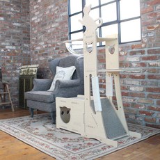 미아오스트럭쳐