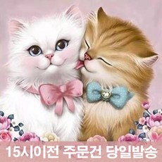 용인펫자수원데이