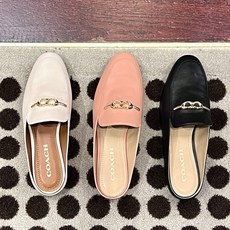 코치바스키아-추천-상품