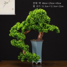 소나무분재