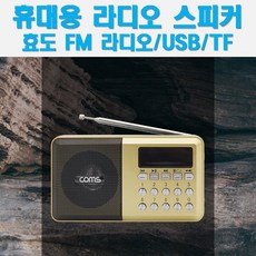 캠브리지오디오am10