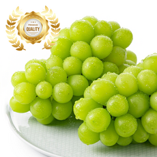 [ 24년 마지막특가 ] 고당도 21brix 샤인머스켓 망고 포도