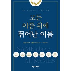 누바스차수정