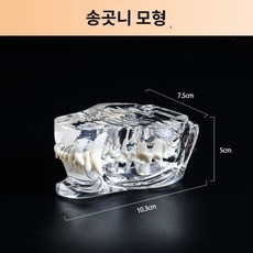 이빨 모형 고양이 강아지 치아, 송곳니 모형, 1개