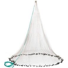 에그레이식스밸런스