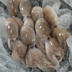 제철 알배기 쭈꾸미 급냉 1kg 10~15미 산지직송, 1개