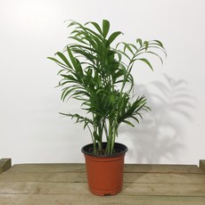 7d6cb1e53187157182e7b9d0b80ea658b5b43229b8a0ee645bf6a0ab5e37.JPG