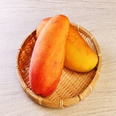 무지개망고-추천-상품