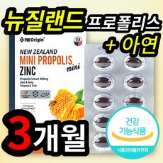 네이처스패밀리프로폴리스2000mg