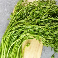 추천7미나리요리