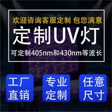 UV경화기 휴대용 LED 350W 건조기 휴대용경화기 경화기 조사기 램프, 1 커스텀 405 또는 기타 밴드 ❤ 고객센터에 문의하, 300W 이상, 1개