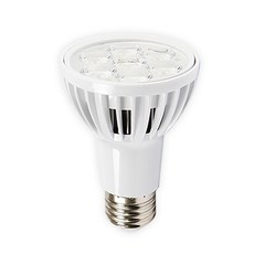 par20led