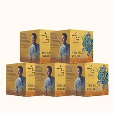순수 더 살롱 컬러 아뜰리에 염모제, 와인브라운, 5개