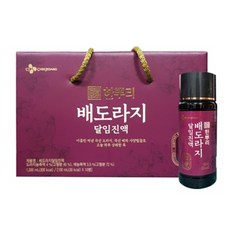 CJ 한뿌리 배도라지 달임진액 100mlx10병x2set