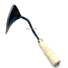 고구마농장체험