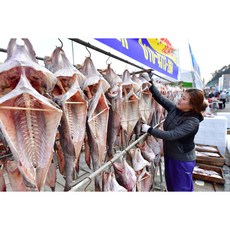 거제도대구 외포항대구 건대구 반건조대구 외포대구, 통마리그대로, 소자[50-60cm], 2개