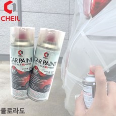 콜로라도전방카메라