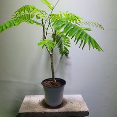 b25f40b0ceb2e052b1c615147dffcefe5cd47841bbd7af30bc15bf459bb6.jpg