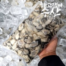 하고잽이수산 당일수확 통통한 자연채모 최상급 통영굴 생굴 김장굴 중.소굴(정량계량), 깐굴2kg, 1박스