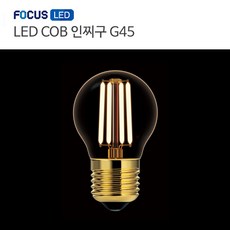 [포커스] LED 디자인램프 - COB 인찌구 G45 2.5W, 1개