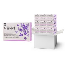 식물나라립앤아이