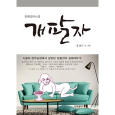 홍상기