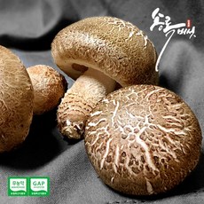 de05beee31c73d33d3e699d404b61bbd34c1d6f020e95fa75ce7ee423b74.jpg