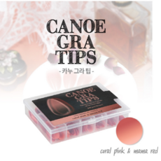 다이아미카누팁