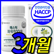 식약처 식약청 인증 인정 프롬 바이오 위앤위 위 건강 엔 이병헌 이병원 매스티나 메스틱 매스틱 맥스틱 검 껌 덩어리 원물 키오스 그리스 산 타블렛 캡슐 캡슌 정 3 박스 개월