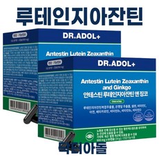 닥터아돌 징코빌로바 루테인 지아잔틴 3중기능 Dr.Adol+ 900mg x 60캡슐, 2개, 60정
