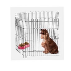 일산대형견애견호텔