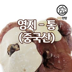 버섯1번지